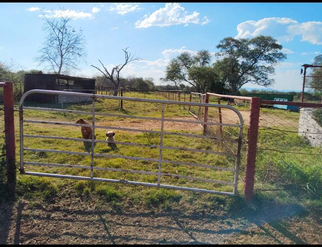 249.90HA FARM FOR SALE IN WATERVAL S H